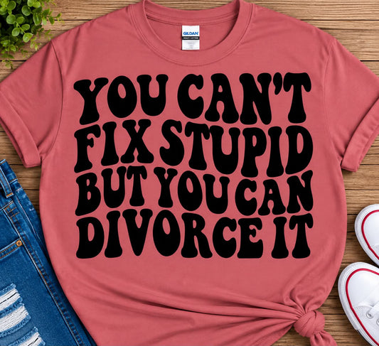 Cant Fix Stupid Divorce it